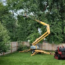 Best Seasonal Cleanup  in Shell Rock, IA